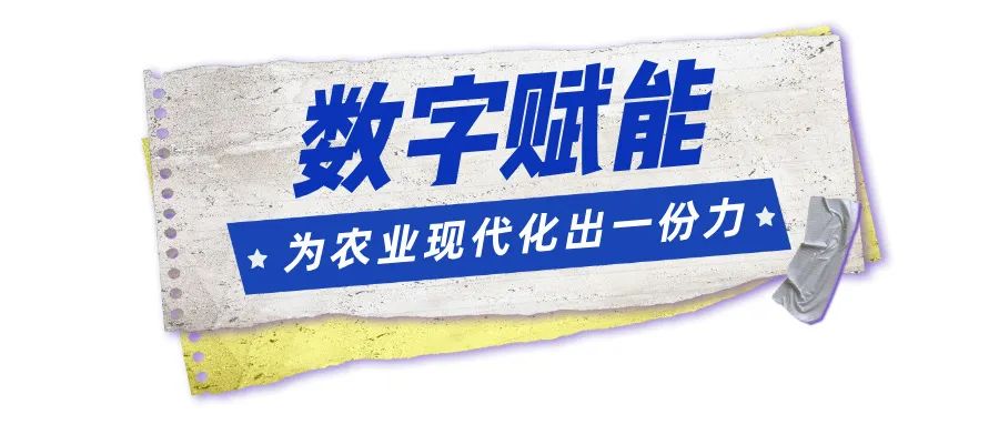 工匠小标题__2025-04-29+23_09_49.jpg